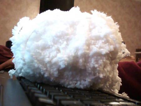 echarpe blanche